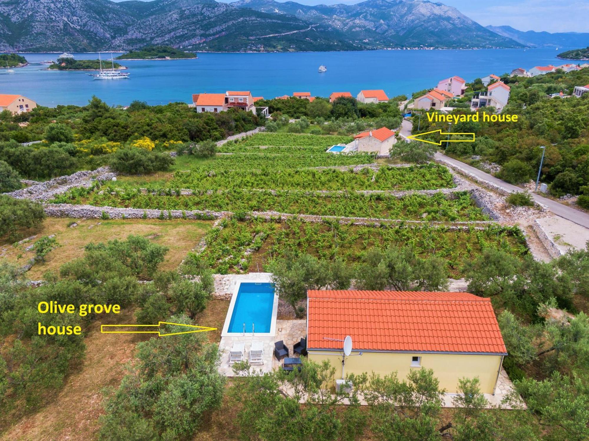 Vineyard House & Olive Grove House Villa ราชิตเช ภายนอก รูปภาพ