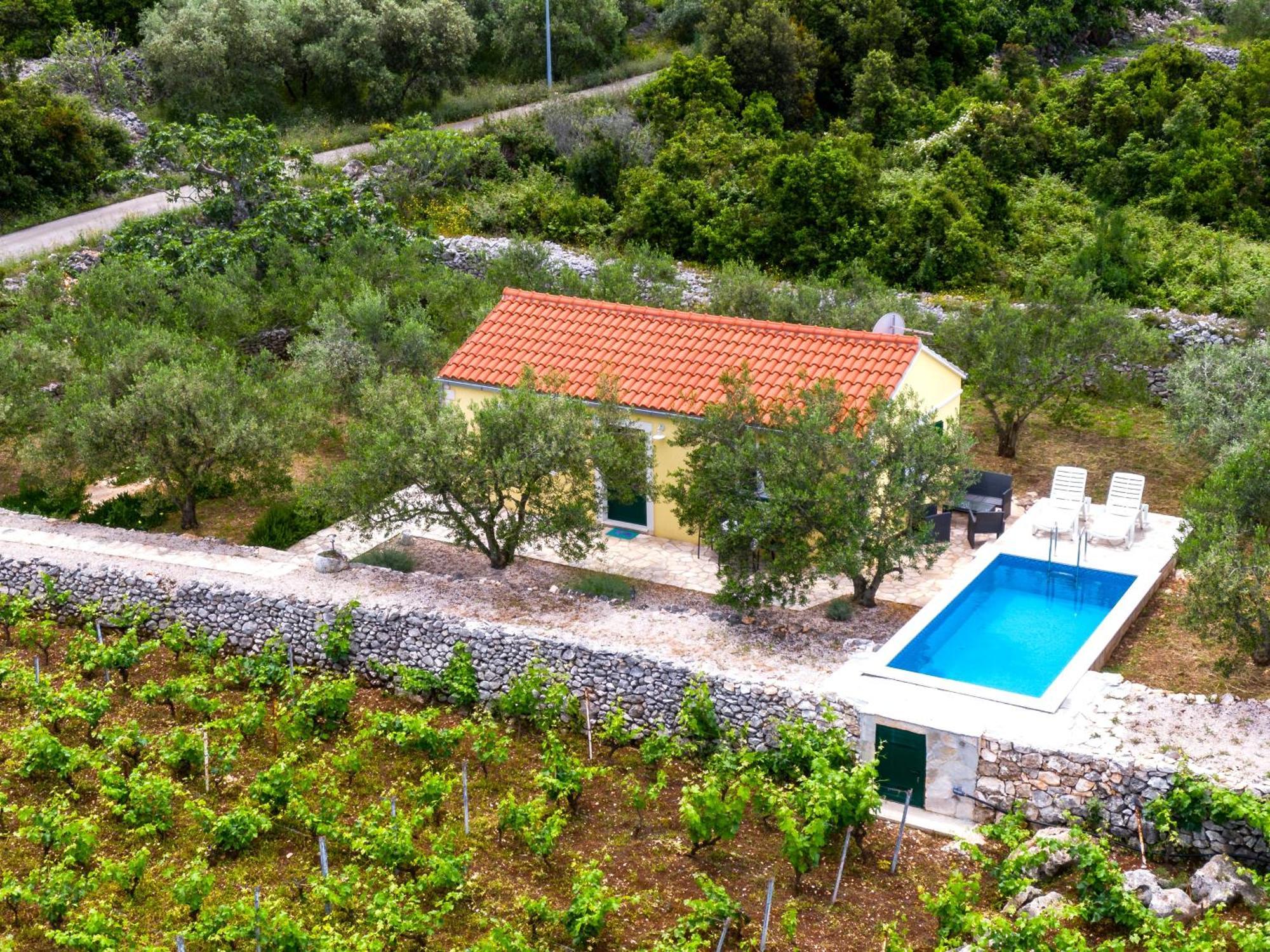 Vineyard House & Olive Grove House Villa ราชิตเช ภายนอก รูปภาพ