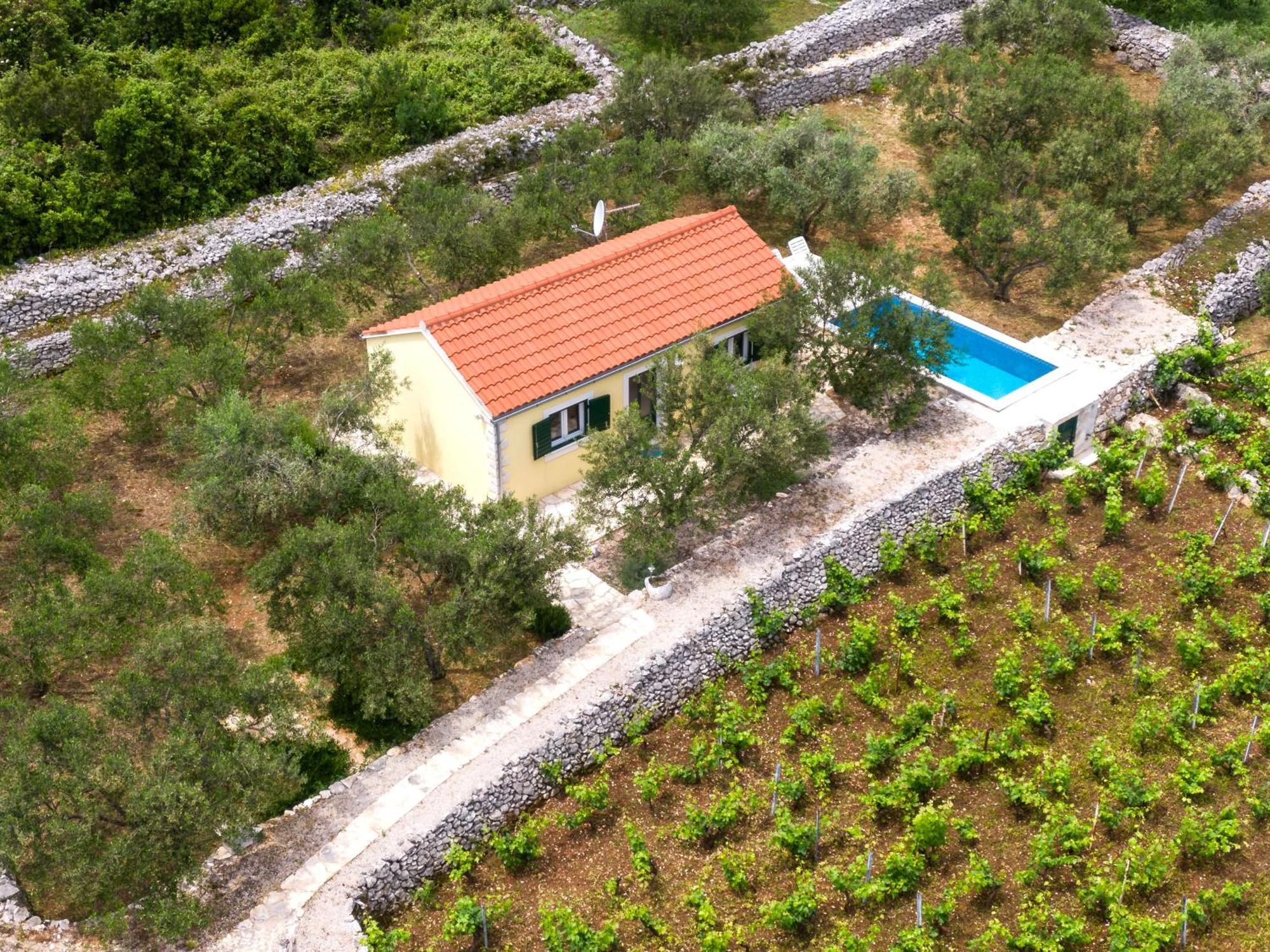 Vineyard House & Olive Grove House Villa ราชิตเช ภายนอก รูปภาพ