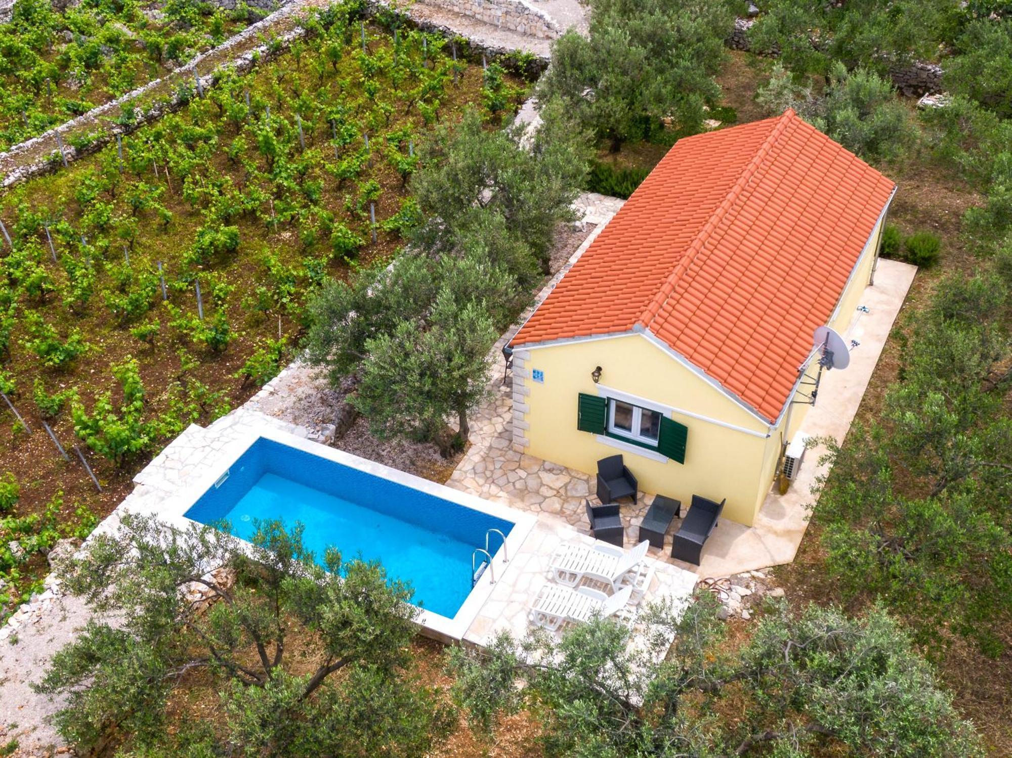 Vineyard House & Olive Grove House Villa ราชิตเช ภายนอก รูปภาพ