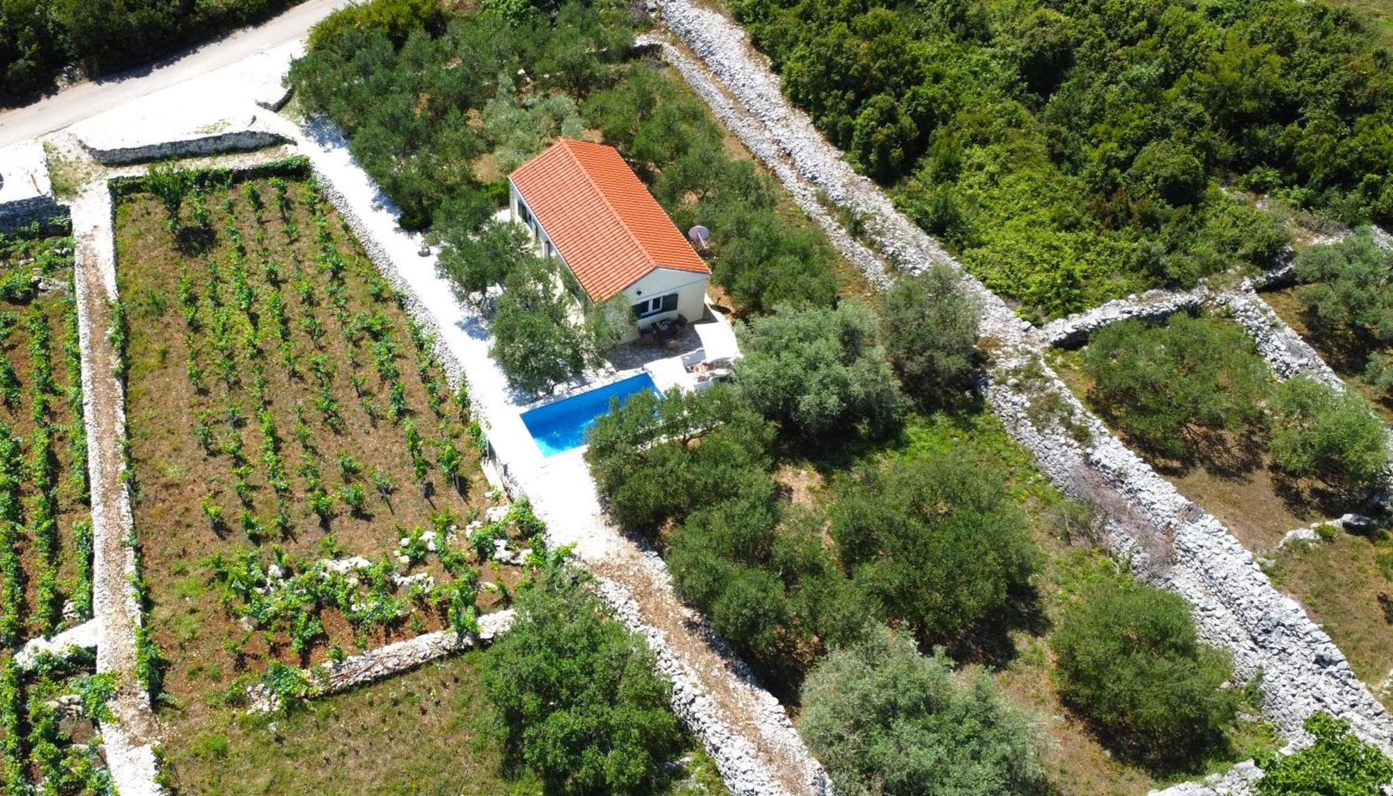 Vineyard House & Olive Grove House Villa ราชิตเช ภายนอก รูปภาพ