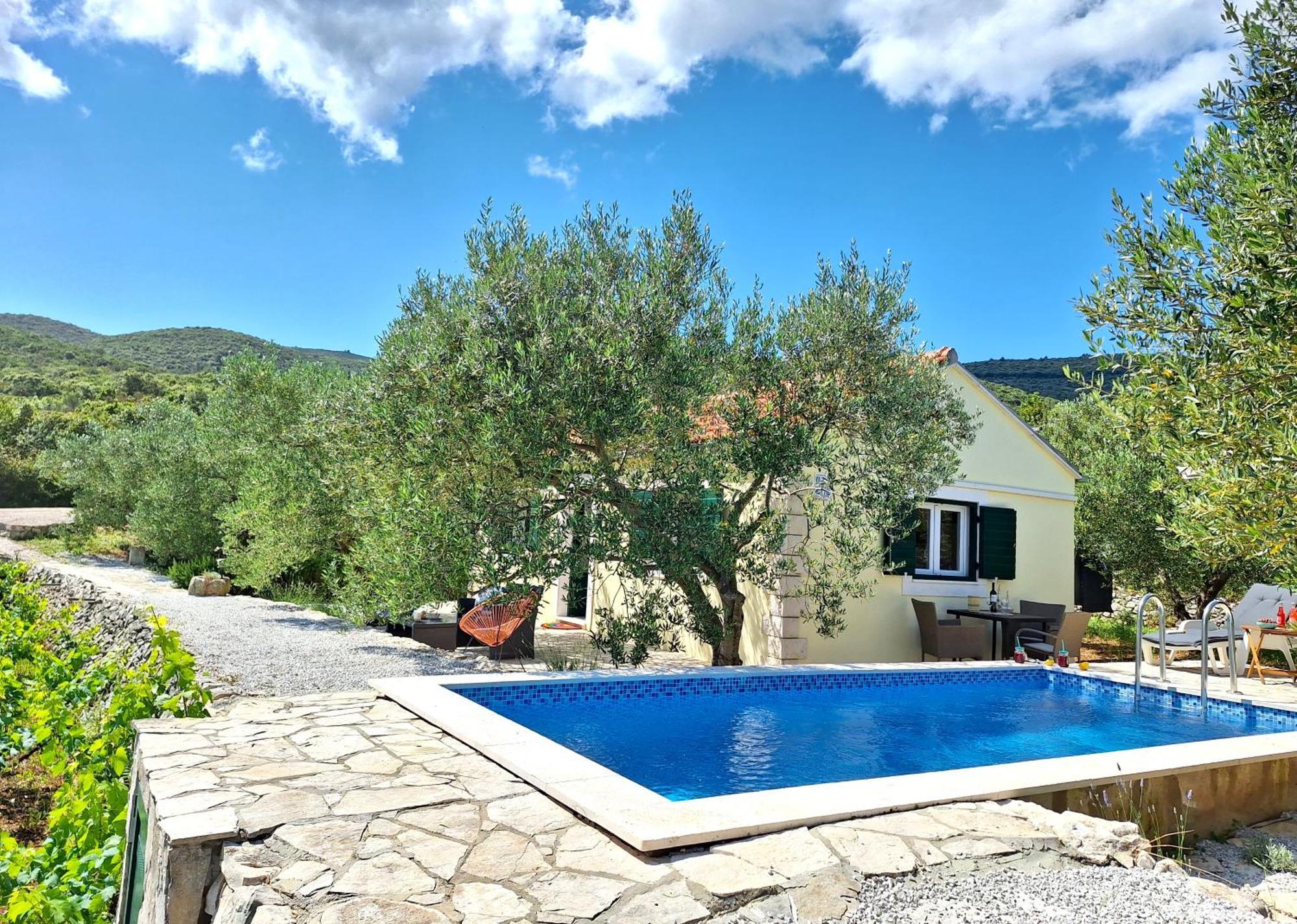 Vineyard House & Olive Grove House Villa ราชิตเช ภายนอก รูปภาพ