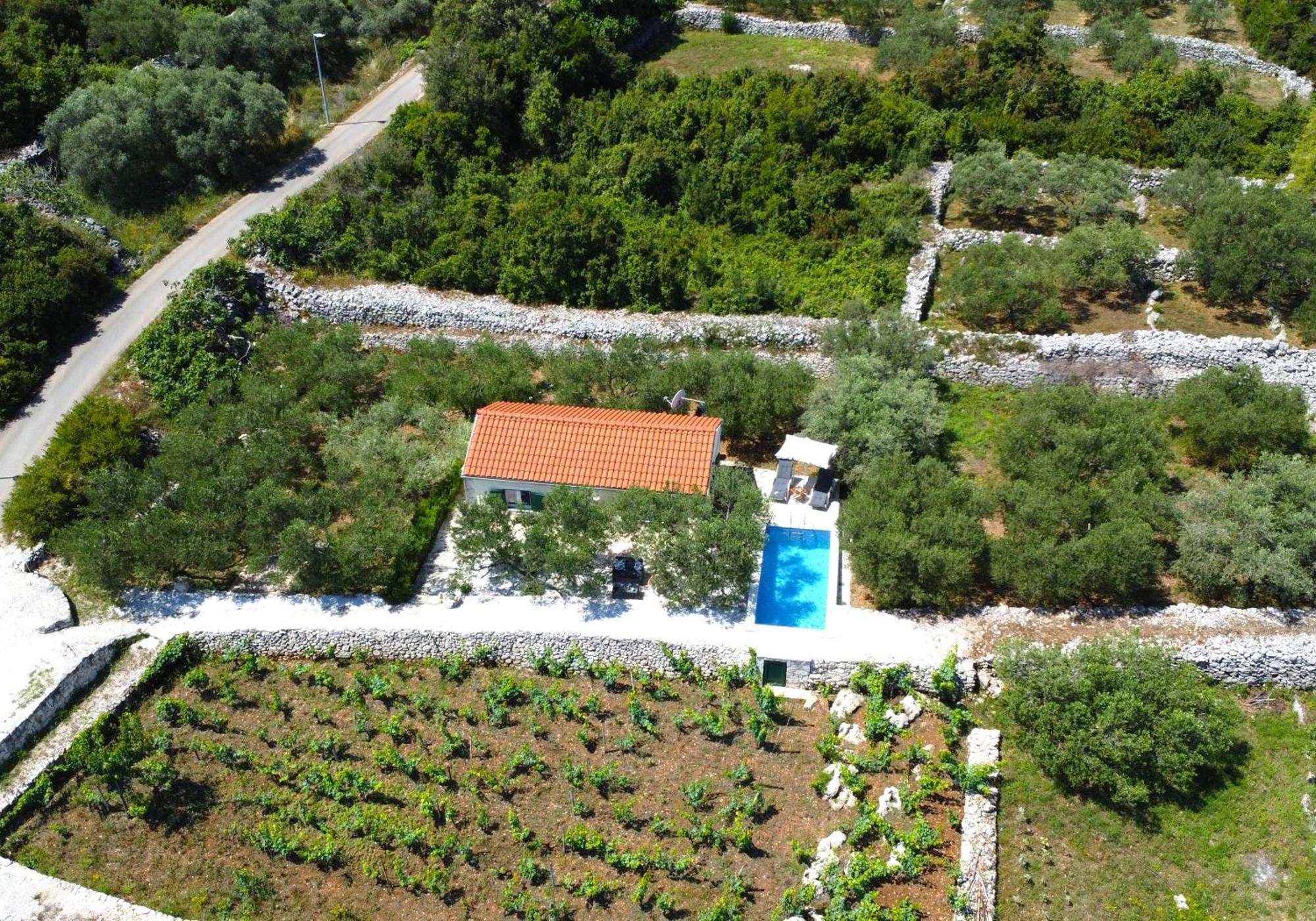 Vineyard House & Olive Grove House Villa ราชิตเช ภายนอก รูปภาพ