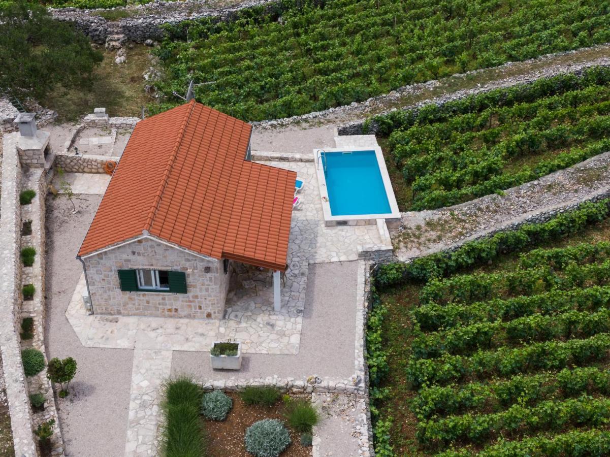 Vineyard House & Olive Grove House Villa ราชิตเช ภายนอก รูปภาพ