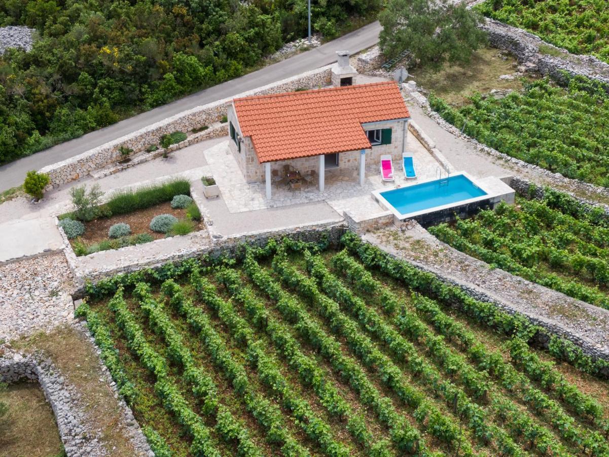 Vineyard House & Olive Grove House Villa ราชิตเช ภายนอก รูปภาพ